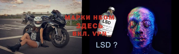 PSILOCYBIN Волосово