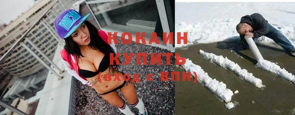 прущие грибы Весьегонск