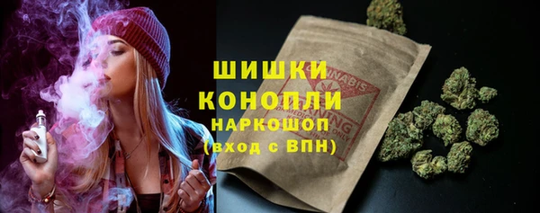 PSILOCYBIN Волосово