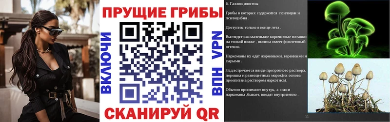 Галлюциногенные грибы мухоморы  Горно-Алтайск 